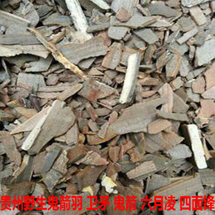 野生鬼箭羽中药材正品鬼见羽 卫矛六月凌鬼箭鬼见愁250克包邮打粉