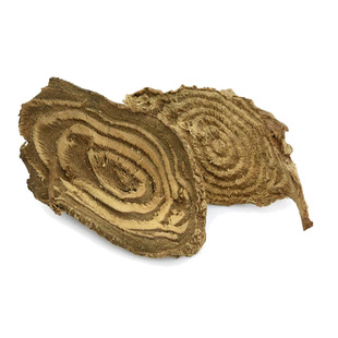 贵州野生中药材商陆 花商陆 见肿消 地萝卜下山虎 牛大黄500g包邮