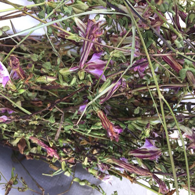 中药材红花龙胆草紫花龙胆草胆草苦胆草小叶龙胆草贵州龙胆草 1斤