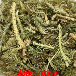 伸筋草贵州野生中药材石松 小伸筋 舒筋草新货干品500g包邮宽筋藤