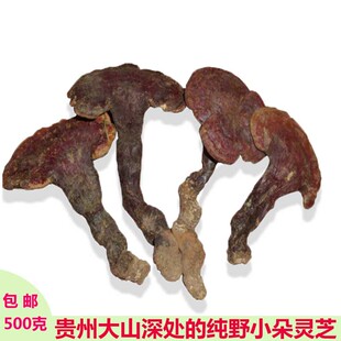 贵州纯野生新货赤灵芝泡酒泡茶 红芝 木灵芝 菌灵芝 万年蕈灵芝草
