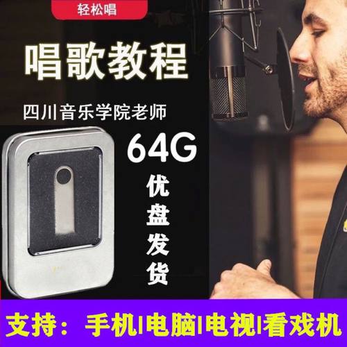学唱歌u盘零基础入门到精通全套教学高清视频自学教程 通用u盘