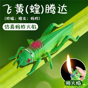 新奇特软硅胶仿真蚂蚱充气打火机创意蝗虫把玩解压摆件明火打火机
