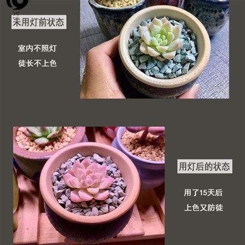 落地日光灯多少钱 落地日光灯价格 小麦优选