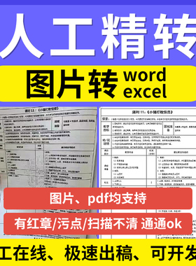 打字提取文字录入表格word扫描件文件人工图照片pdf转换格式excel