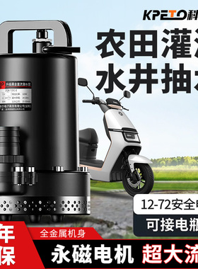 直流潜水泵12V24V48V60V伏电瓶车抽水泵小型家用农用电动车抽水机