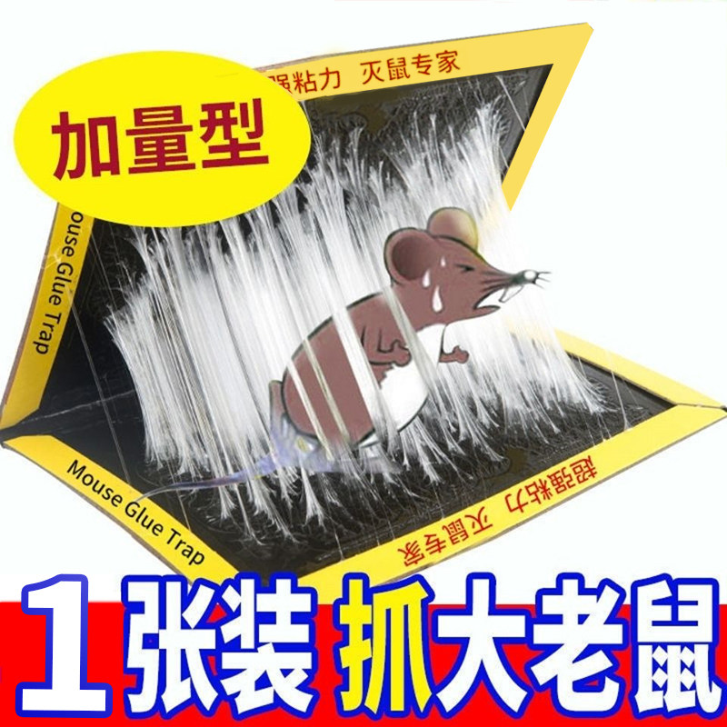 强力粘鼠板老鼠贴灭鼠老鼠夹捕鼠神器老鼠胶器家用一窝端老鼠板