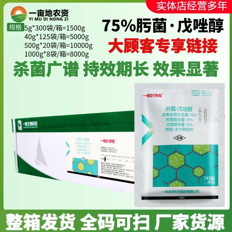整箱发货 一帆叶净青75%肟菌戊唑醇肟菌酯 柑橘疮痂病农药杀菌剂