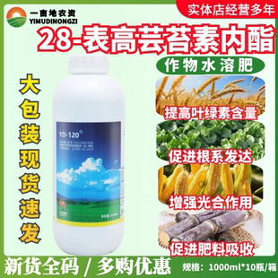 云大120万保28表高芸苔素内脂28表芸苔素玉米小麦生长农药调节剂