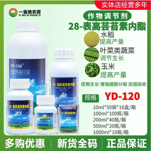 整箱云大120万保28表高芸苔素内脂28表芸苔素生长农药调节剂