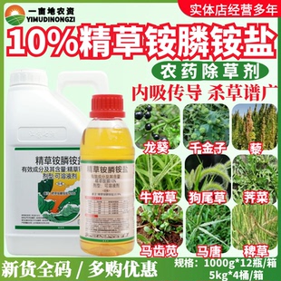 七洲惊天海 10%精草铵膦磷胺盐柑橘园杂草触杀灭生性农药除草剂