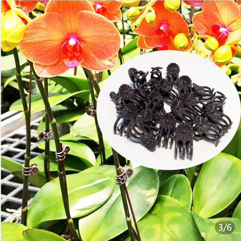 蝴蝶兰固定夹造型专用夹子
