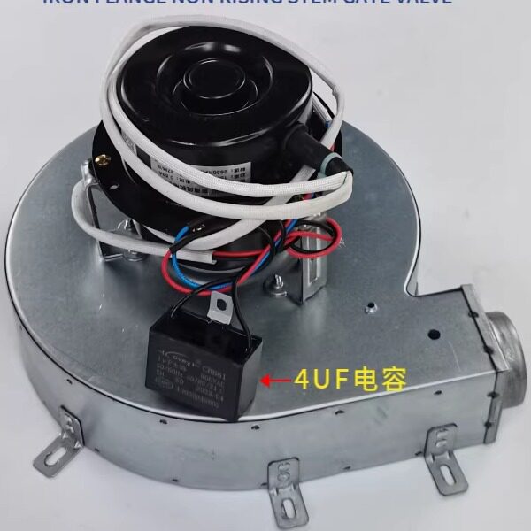 商用蒸汽机150W风机 炒货机蒸饭柜蒸炉蒸汽发生器通用纯铜芯鼓风