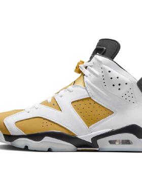 Jordan Air Jordan 6 