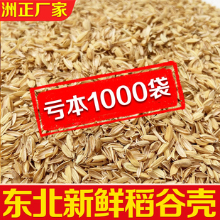 酿酒发酵做枕芯动物垫料东北优质谷壳5斤 稻谷壳100斤清仓稻壳特价