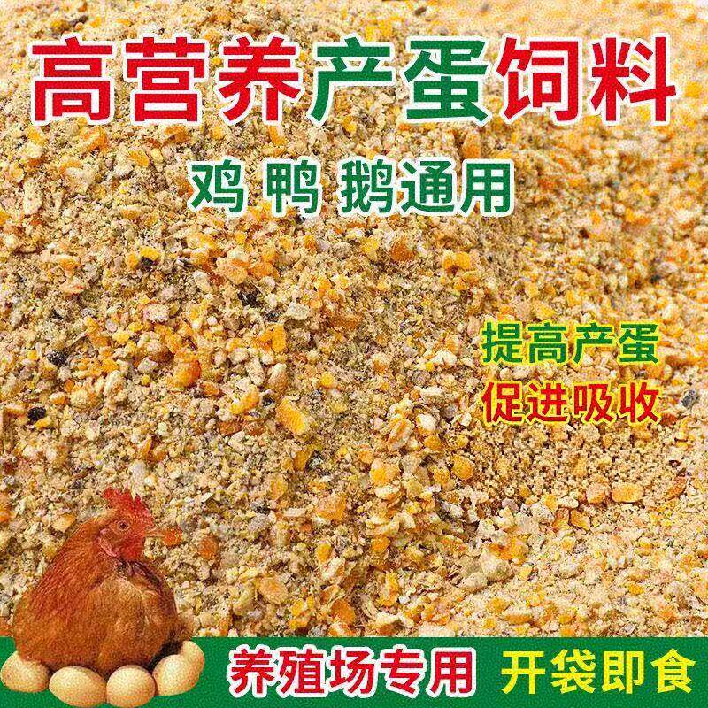 鸡饲料中大鸡下蛋鸡产蛋