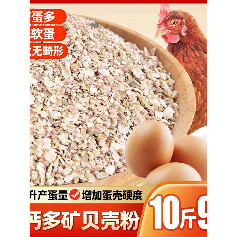 贝壳粉饲料牡蛎鸡用补钙