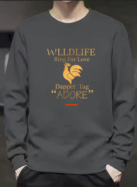 美式重磅体恤纯棉长袖T恤男款潮牌白色上衣服内搭宽松春秋打底衫