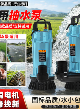 220V水泵家用小型潜水泵水井农田灌溉浇菜抽水机高扬程浇地抽水泵