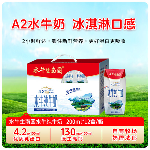 水牛纯牛奶4.2g乳蛋白营养早餐奶