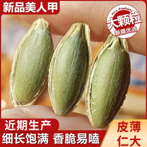 2025新货美人甲长粒南瓜子