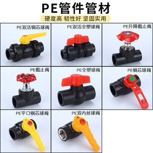pe全塑平口双活钢芯球阀开关双内丝阀门截止阀闸阀20 规格齐全
