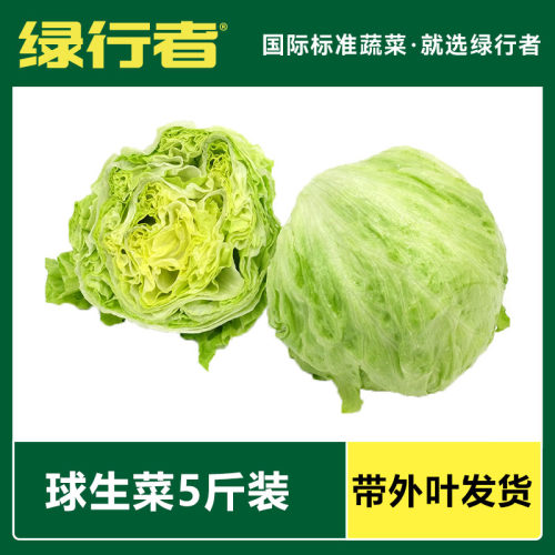 绿行者  球生菜圆形生菜汉堡用新鲜沙拉菜可生吃 江浙沪皖包邮