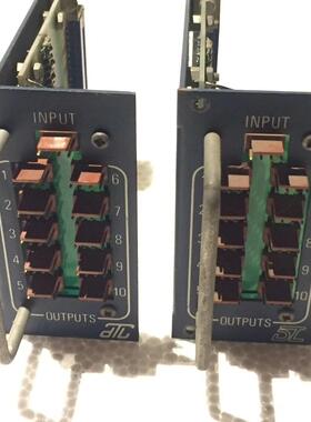 30515早期德国用TR/BV 371001081输入牛一对议价商品