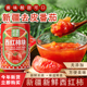 新疆笑厨西红柿块家用商用番茄罐头无添加脂肪400g小包装 罐装