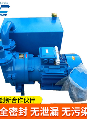 2BV5131水环式真空泵 陶瓷炼泥机抽真空 真空负压站 穗诚真空