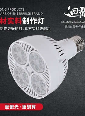 回龙 澳浦led射灯par30 p30帕泡灯泡轨道灯 35W  45w灯泡成套灯架