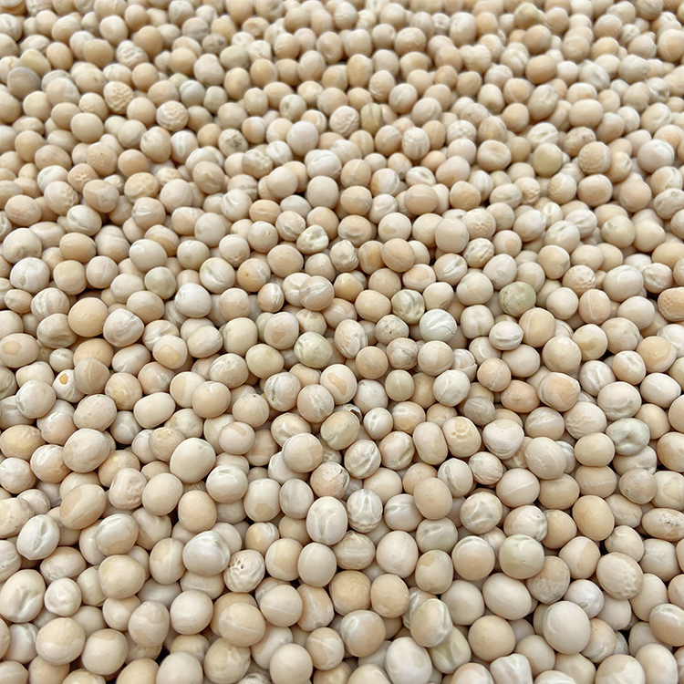 白豌豆生豌豆鸽用豌豆带皮豌豆五谷杂粮信鸽鸽粮鸽子饲料包邮5斤