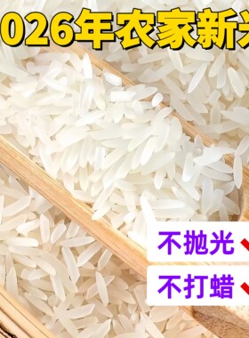 乡里阿蓉【2026年农家新米】6月丝苗米不打蜡不抛光潮汕煮饭煮粥