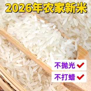 乡里阿蓉【2026年农家新米】不打蜡不抛光丝苗米象牙香米煮饭煮粥