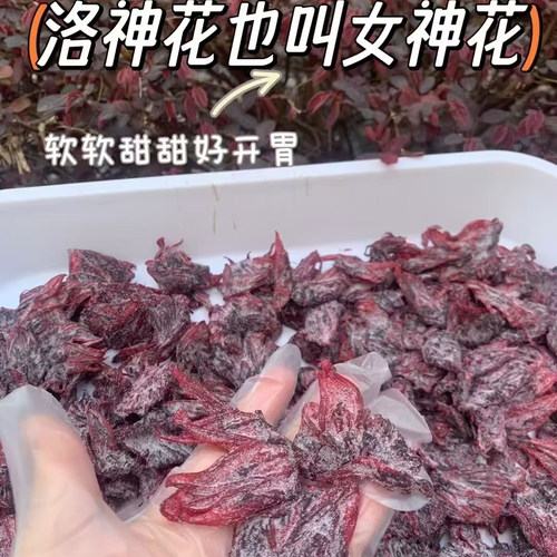 乡里阿蓉【洛神花干】潮汕洛神花果脯玫瑰茄干健康无硫好即食酸甜