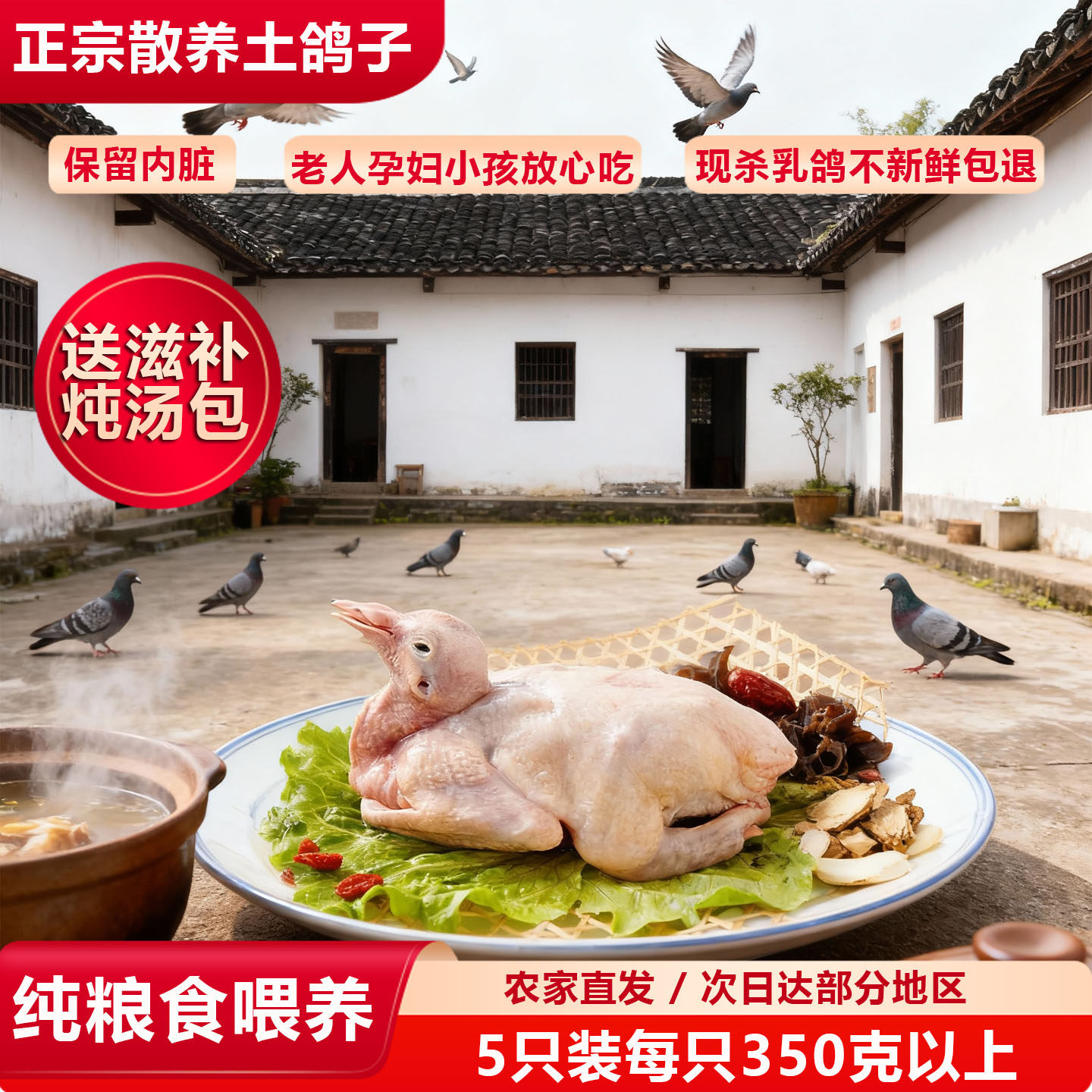 鸽子新鲜现杀散养土鸽子乳鸽3只装原粮老鸽生鲜鸽子肉,水产肉类/新鲜蔬果/熟食,乳鸽,淘宝优惠券,粉丝福利购,淘宝优惠卷