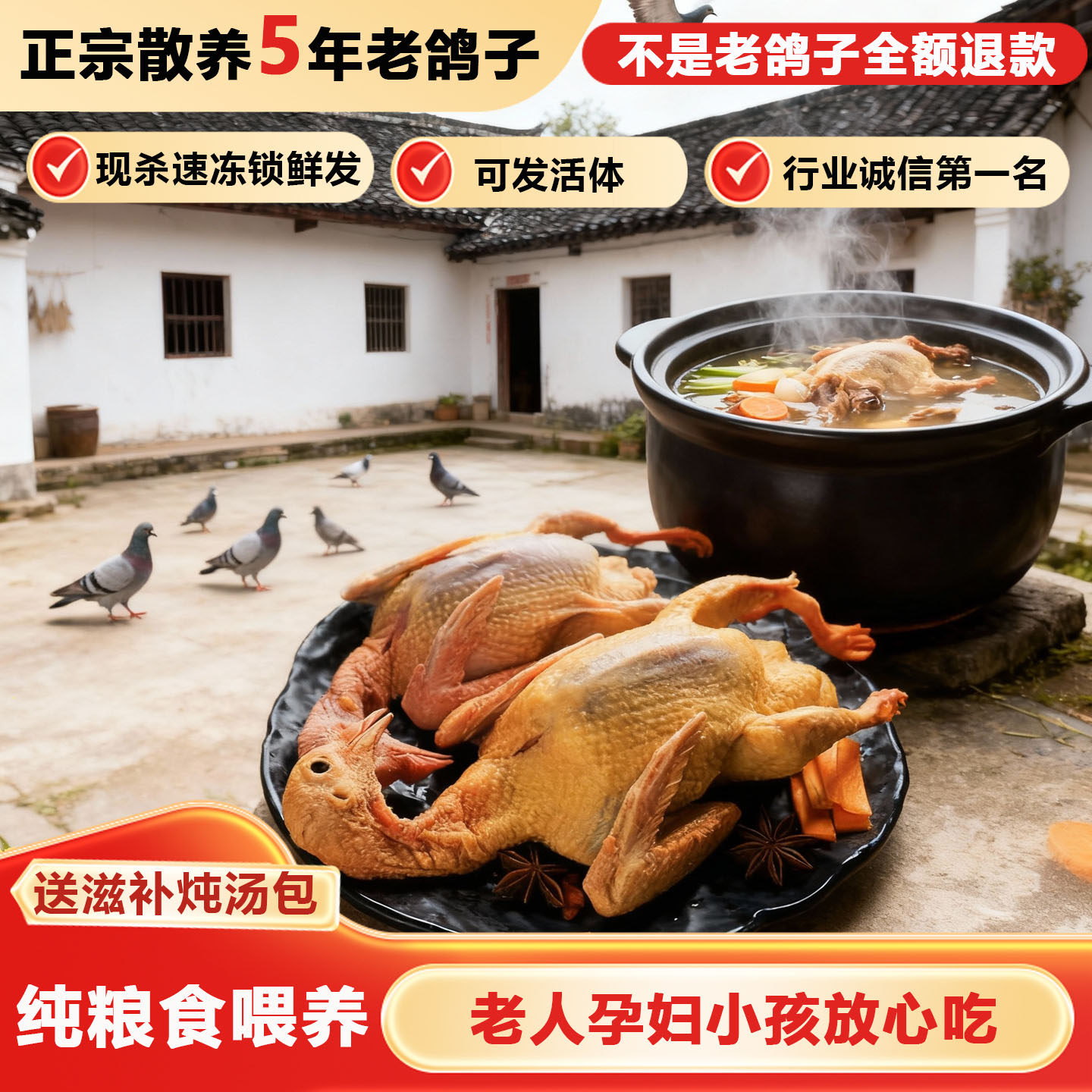 老鸽子新鲜现杀真正散养放飞老鸽子土鸽子鸽子肉5年老鸽子乳鸽,水产肉类/新鲜蔬果/熟食,乳鸽,淘宝优惠券,粉丝福利购,淘宝优惠卷