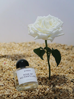 无人区玫瑰超级雪松试香