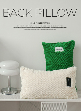 造卧zwow原创立体编织仿獭兔毛客厅沙发床头样板间轻奢靠垫腰枕头