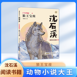 狼王宝座 彩绘注音版fbx动物小说 一二三年级1-2-3年级课外阅读书籍 小学生寒暑假推荐书籍沈石溪的书短篇小说 狼王梦姊妹篇