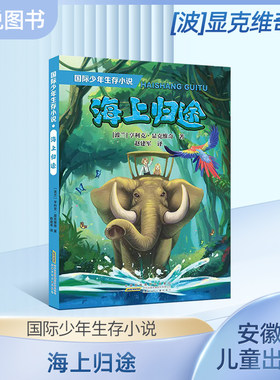国际少年生存小说海上归途