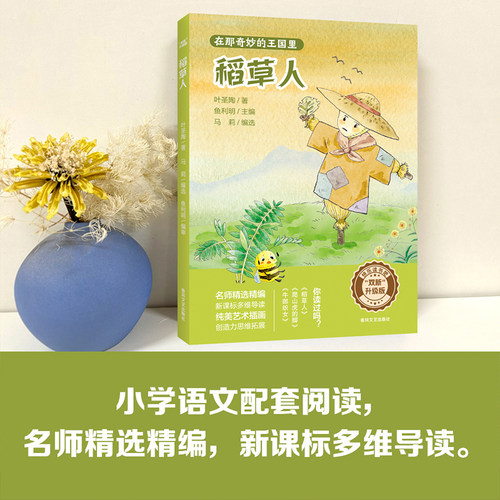 双新升级版快乐读书吧fb 在那奇妙的王国里 稻草人 三年级小学语文配套阅读 春风文艺出版社