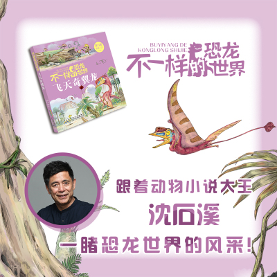 不一样的恐龙世界飞天奇翼龙fb沈石溪李花三吉著动物小说安徽少年儿童出版社