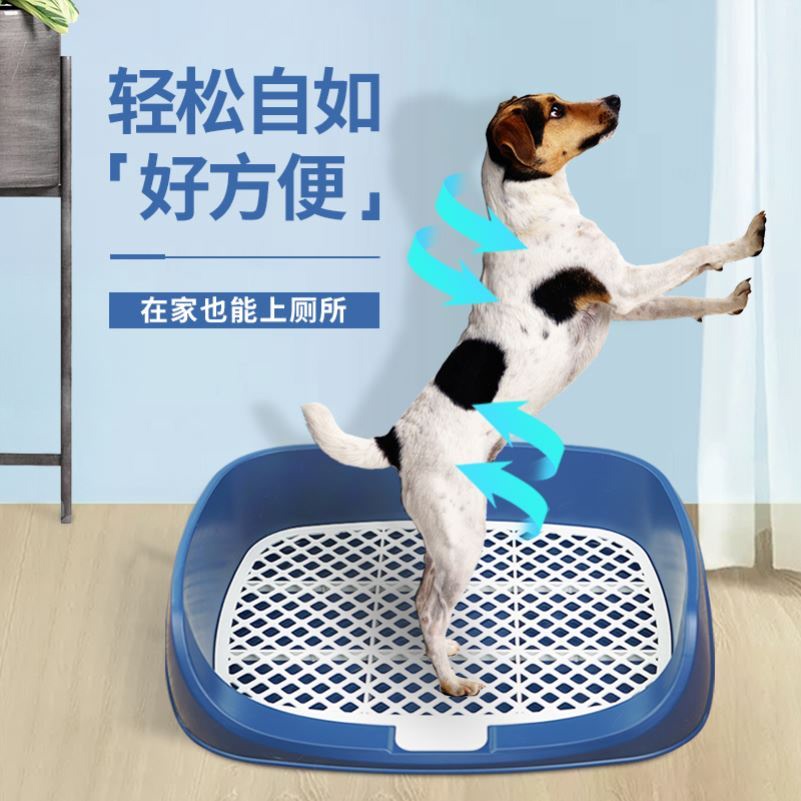 极速桶装水电动抽水器自动上水器静E音取水器瓶装水出水器纯净水