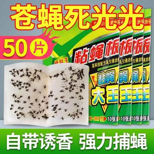 苍蝇贴强力粘苍蝇纸粘蝇板药沾蚊杀手捕捉器灭蝇子神器一扫光家用