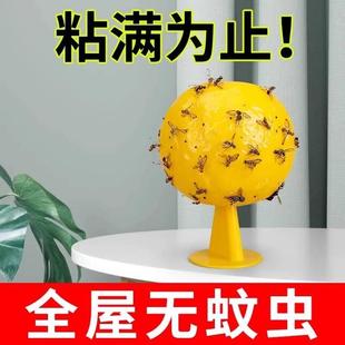 小飞虫克星果蝇诱捕器厨房卫生间水果店螨虫蚊虫灭杀神器居家