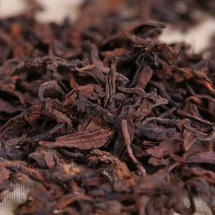 班章古树大叶普洱熟茶特级原料尽显霸气茶韵独特的樟香大树茶