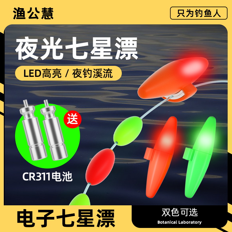 电子夜光漂七星漂豆夜钓LED鱼漂