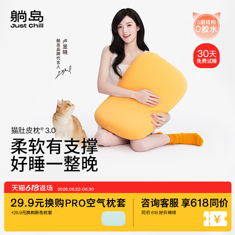 【卢昱晓同款】躺岛猫肚皮枕3.0枕头枕芯成人家用睡觉记忆棉枕头 - 实物图