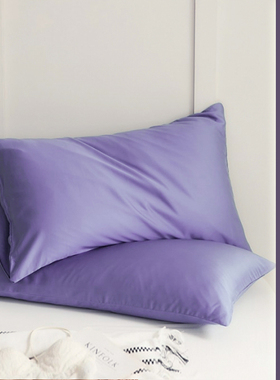 单独枕套48cmx74cm纯棉100全棉一对紫色枕头套小尺寸40x60一只装